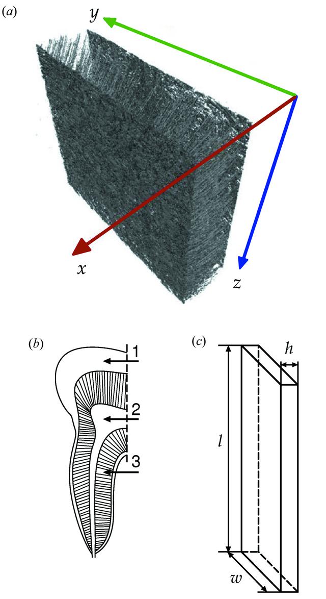 [Figure 2]