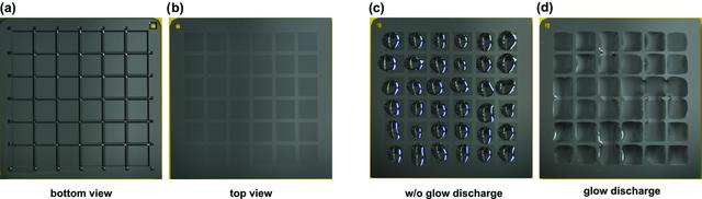 [Figure 4]