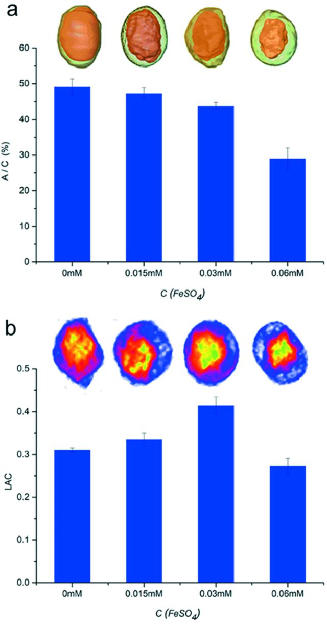 [Figure 6]