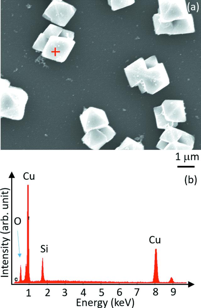 [Figure 5]