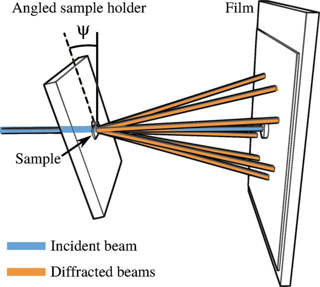 [Figure 1]