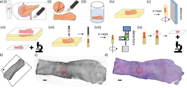 [Figure 3]