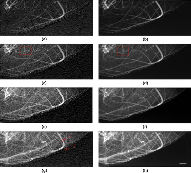 [Figure 3]