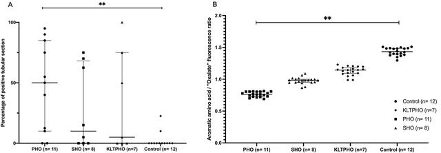 [Figure 5]