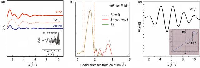 [Figure 5]