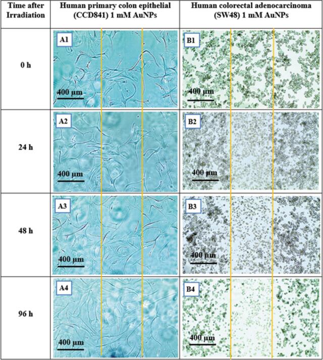 [Figure 15]