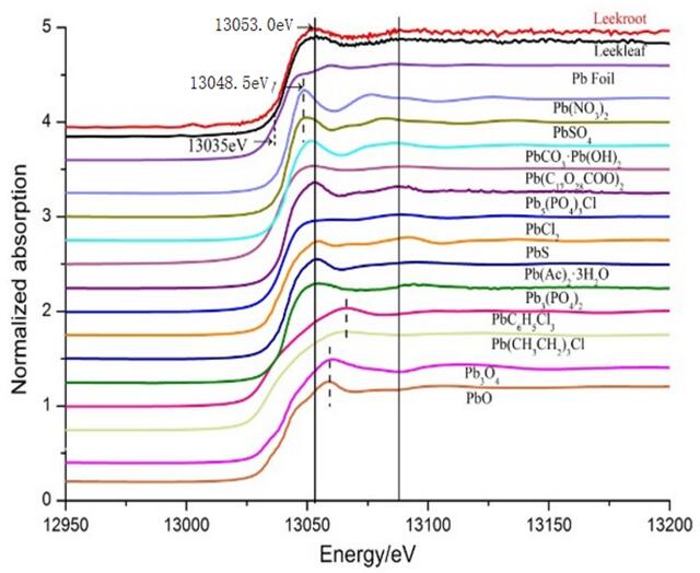 [Figure 2]