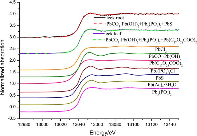 [Figure 3]