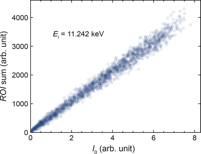 [Figure 6]