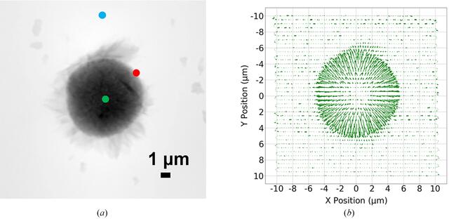 [Figure 1]