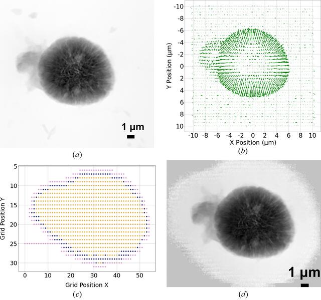 [Figure 4]