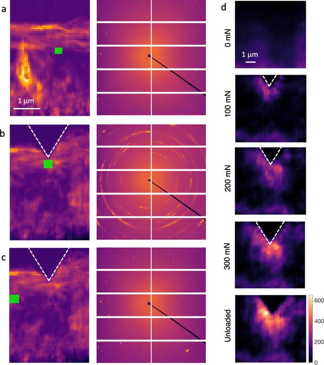 [Figure 12]