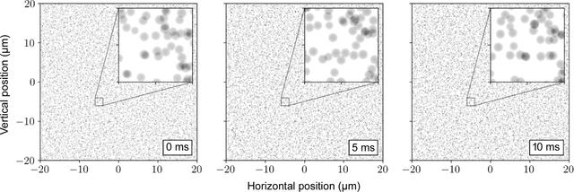 [Figure 5]