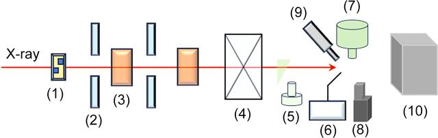 [Figure 4]