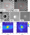 [Figure 4]