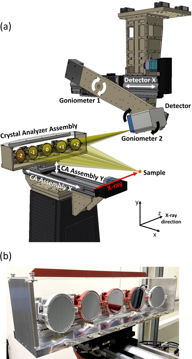 [Figure 1]