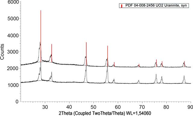 [Figure 7]