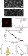 [Figure 2]