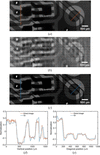 [Figure 3]