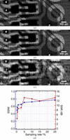 [Figure 4]