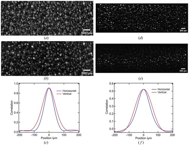 [Figure 6]