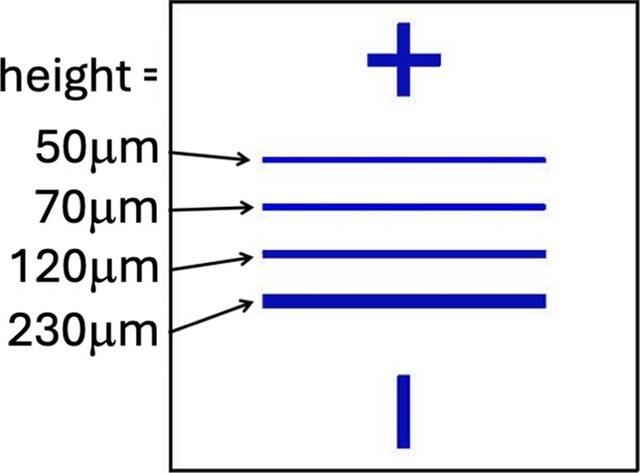 [Figure 3]