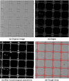 [Figure 5]