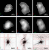 [Figure 3]