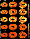 [Figure 4]