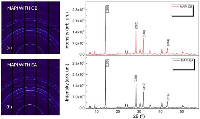 [Figure 6]