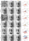 [Figure 10]