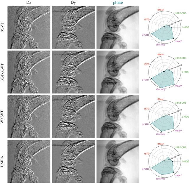 [Figure 6]