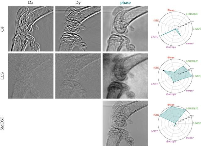 [Figure 9]