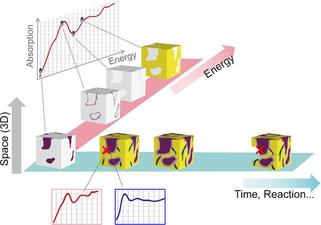 [Figure 1]