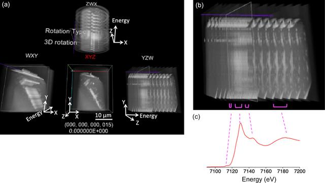 [Figure 6]