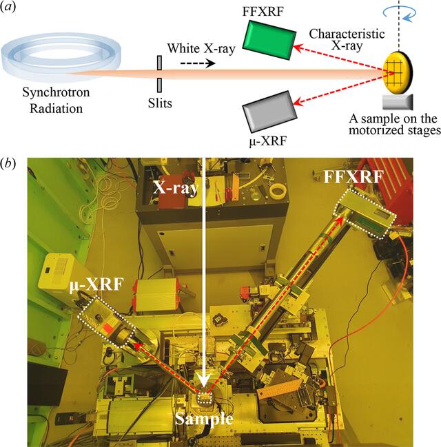 [Figure 1]