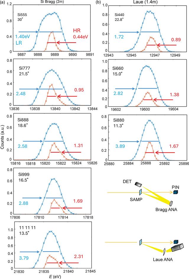 [Figure 1]