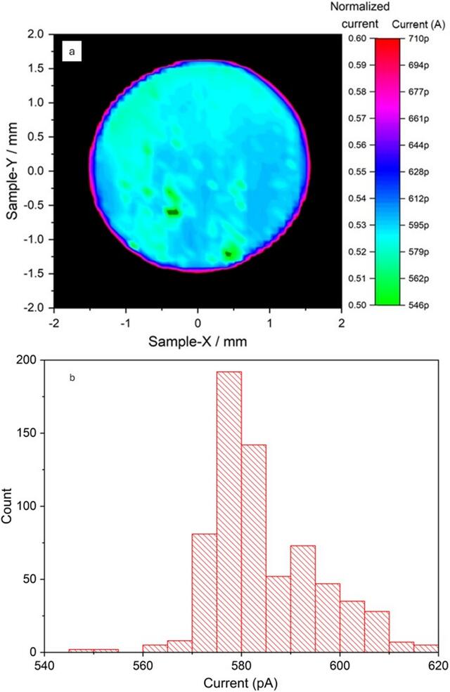 [Figure 5]