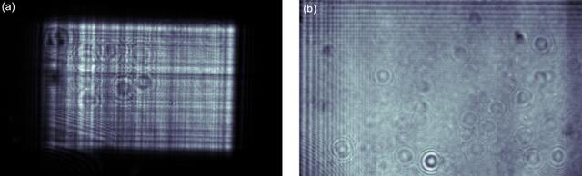 [Figure 2]