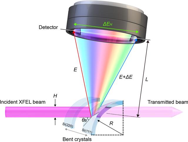 [Figure 1]