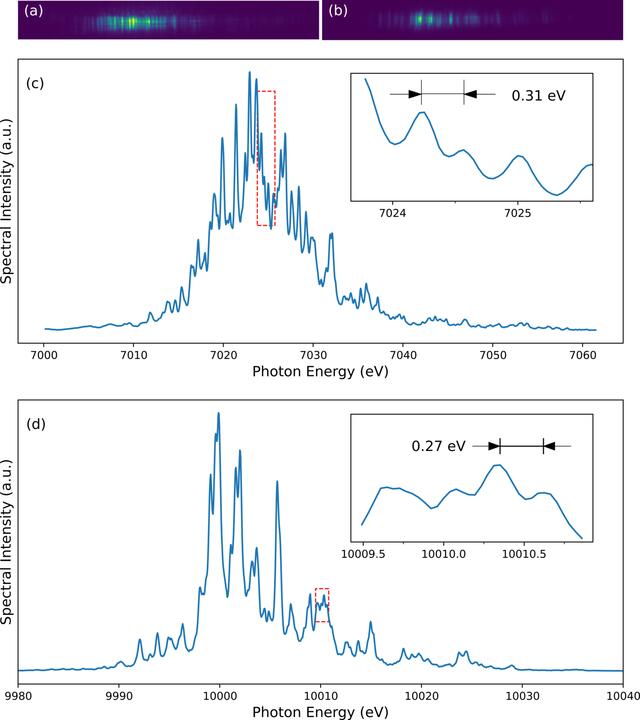 [Figure 4]