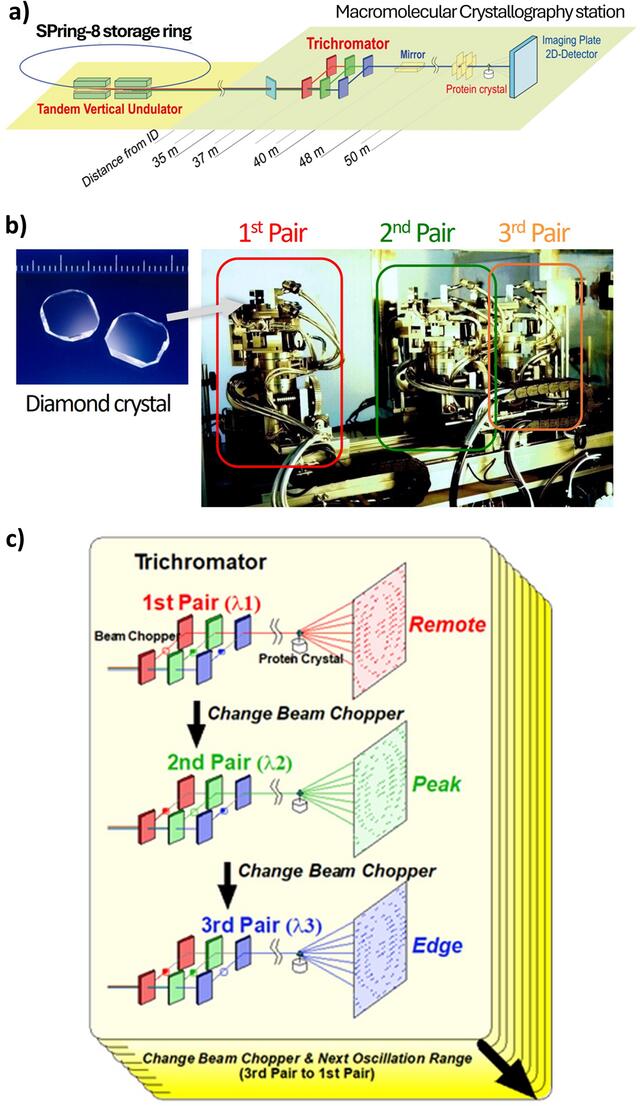 [Figure 2]