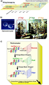 [Figure 2]