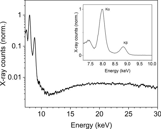 [Figure 3]