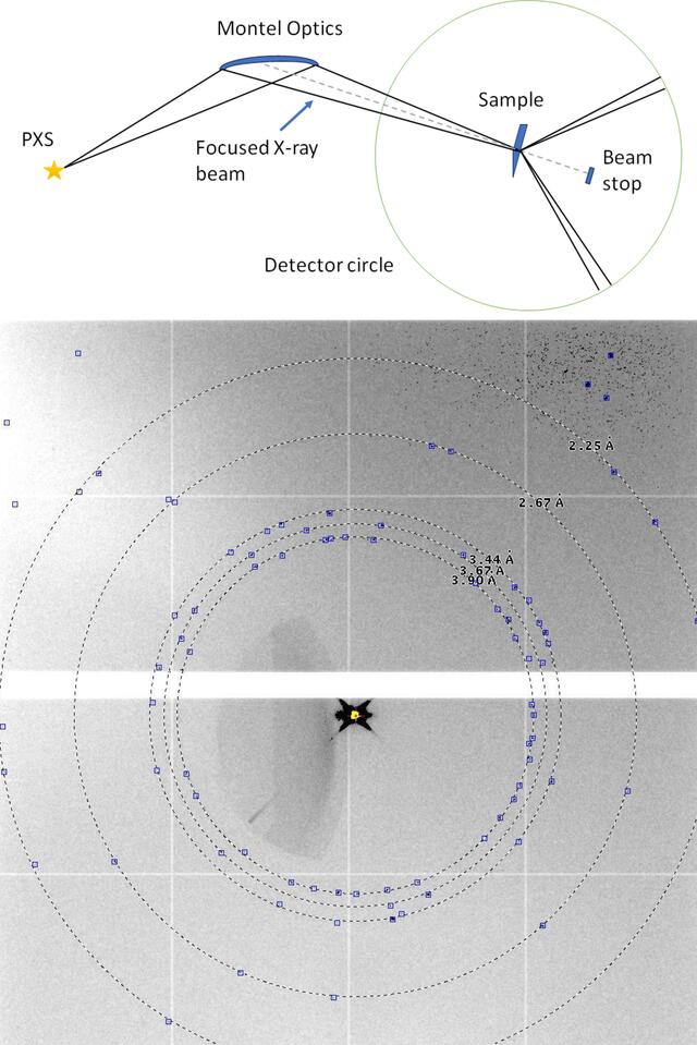 [Figure 6]