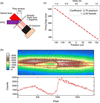 [Figure 4]