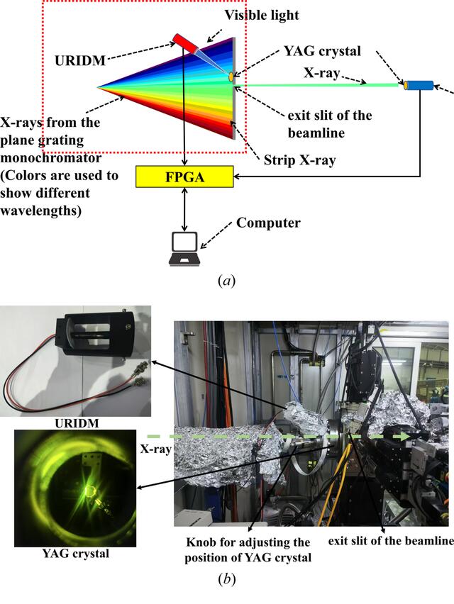 [Figure 4]