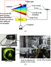 [Figure 4]