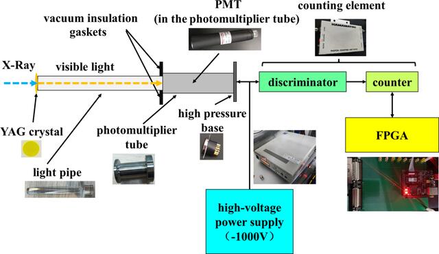 [Figure 5]