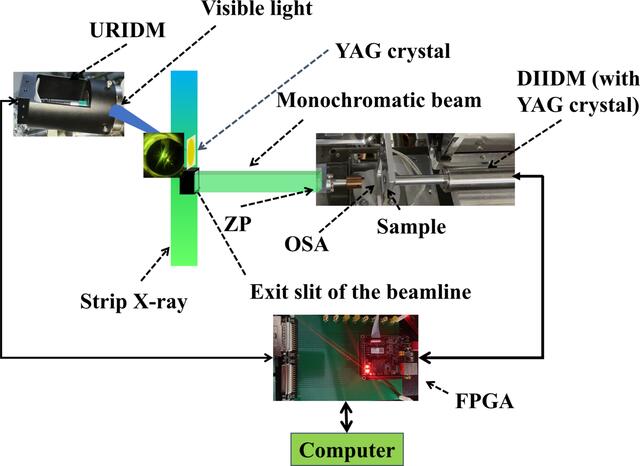 [Figure 6]